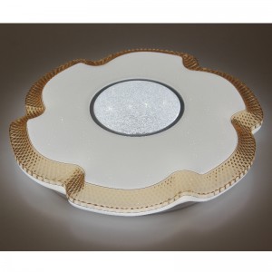 CX214 Ceyling Light