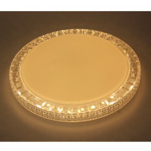 CX216 Ceyling Light