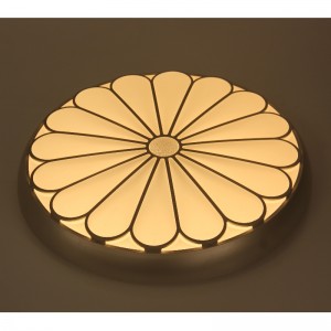 CX227 οροφή Light