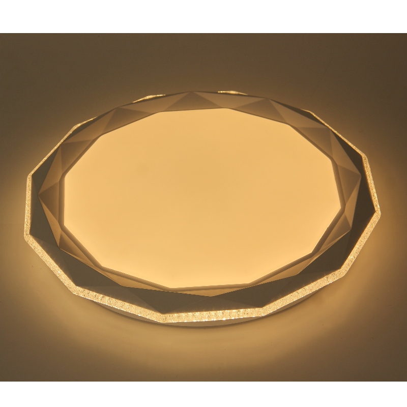 CX232 Ceyling Light