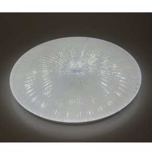 CX251 οροφή Light