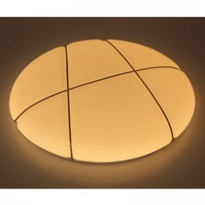 CX254 Ceyling Light