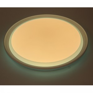 CX256 Ceyling Light