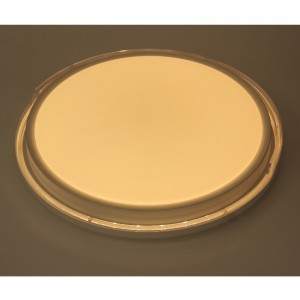 CX259 Ceyling Light