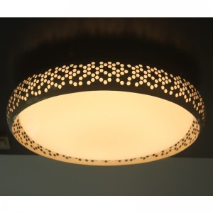 CX283 Ceyling Light