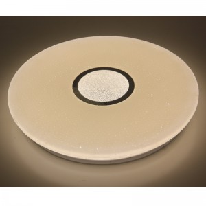 CX289 Ceyling Light
