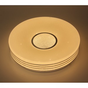 CX306 οροφή Light