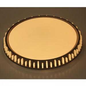 CX310 οροφή Light